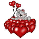 :  a19db7d9b097d65fa917676ab7f9f1c1.gif
: 64
:  35,8 