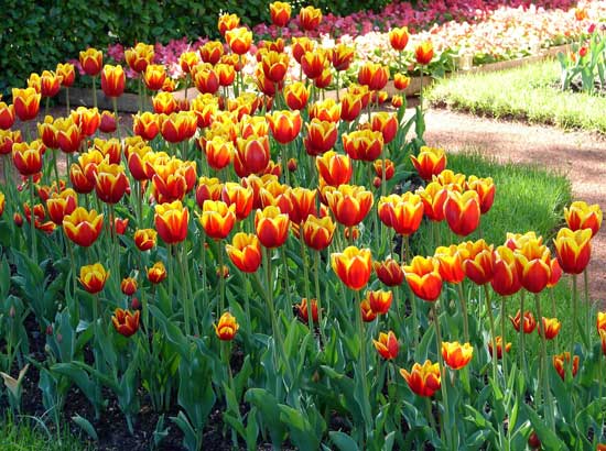 :  DSC04861.jpg
: 65
:  60,6 