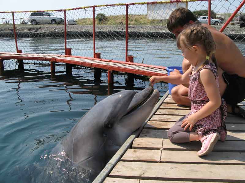 :  IMG_0421.jpg
: 406
:  47,8 