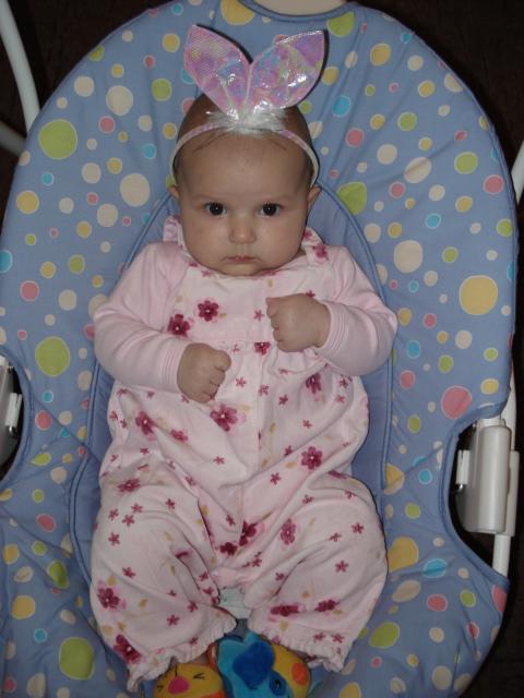 :  DSC01270.JPG
: 81
:  50,0 