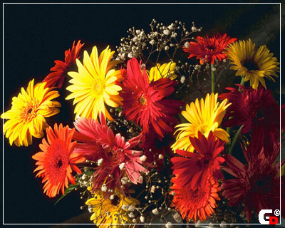 :  3ebfae0fccb1f7b95400db450175b7df.jpg
: 42
:  48,8 