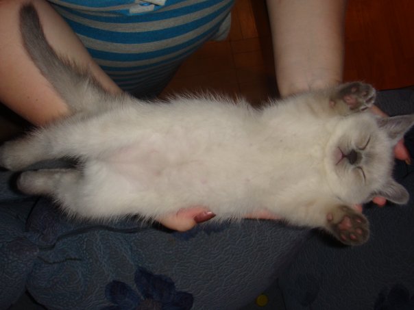 :  x_2a523408.jpg
: 143
:  35,2 