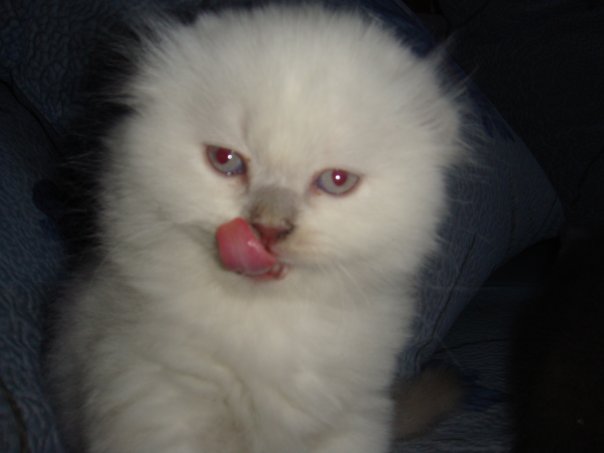 :  x_430c8856.jpg
: 144
:  25,1 