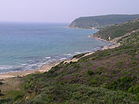 :  kf-kaminia-beach-s.jpg
: 99
:  9,5 