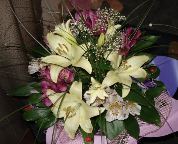 :  DSC01301.JPG
: 49
:  62,7 