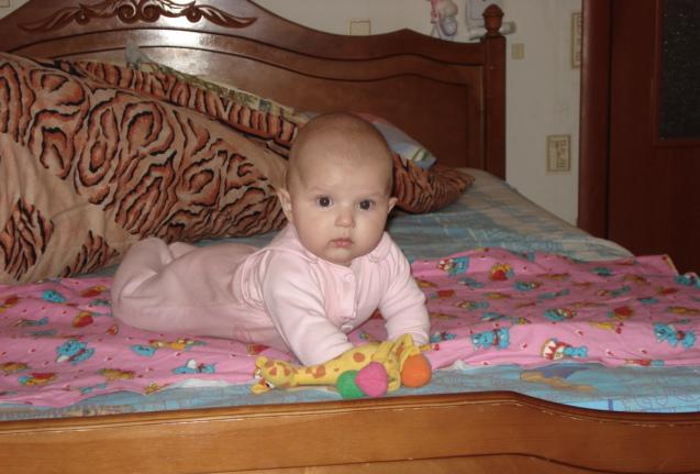 :  DSC01295.JPG
: 59
:  47,2 