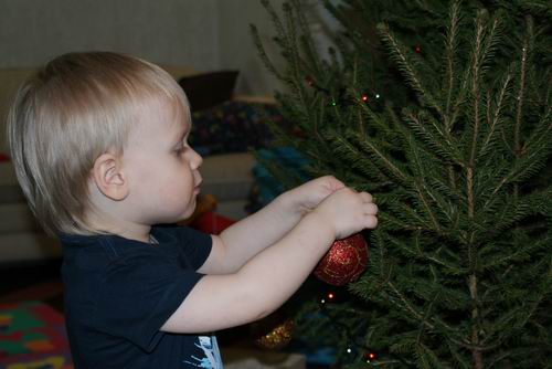 :    DSC00396.JPG
: 45
:  61,3 