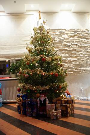 :    DSC00512.JPG
: 45
:  63,3 