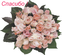 :  7c0aba2816507702927b41af06a2cce9.gif
: 232
:  33,1 