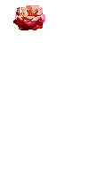 :  b49120688fc15086dbcdf833d91af33f.gif
: 97
:  31,5 