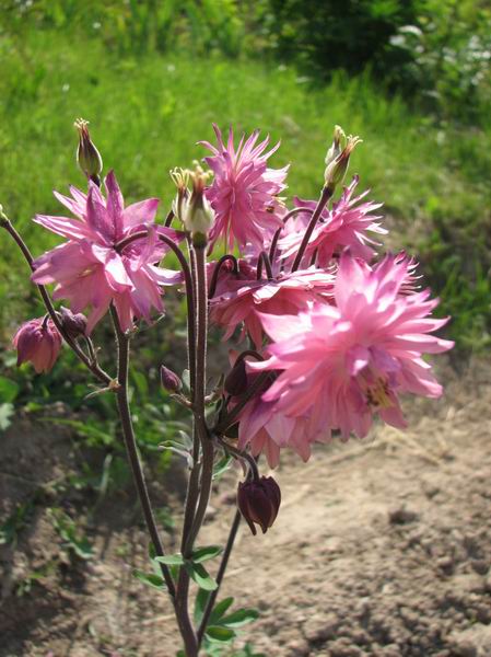 :      055.jpg
: 37
:  62,7 