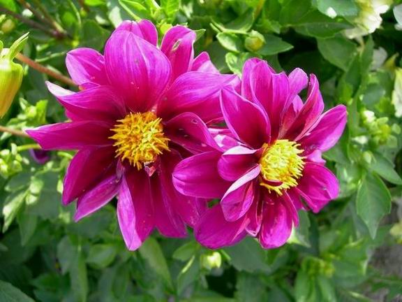 :       DSCN0060.JPG
: 39
:  58,4 