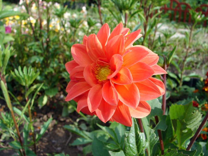 :  -077.jpg
: 39
:  57,4 