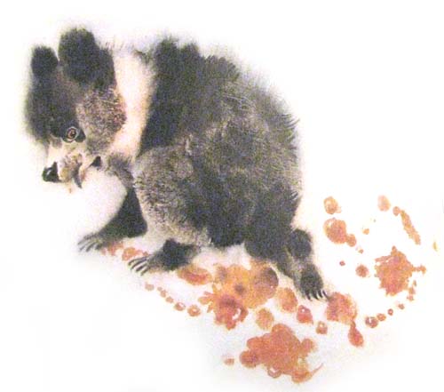 :  3.jpg
: 94
:  44,7 