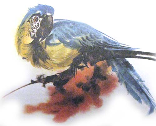 :  4.jpg
: 95
:  46,4 