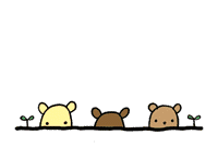 :  2d122c94f7ff.gif
: 13
:  6,2 