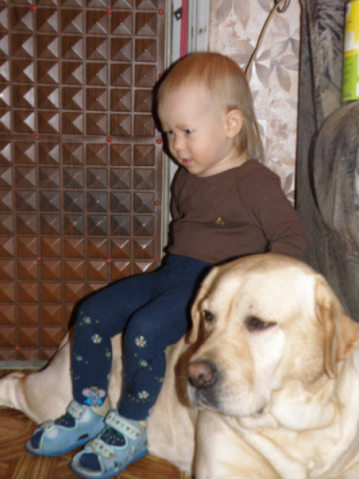 :  244.jpg
: 81
:  43,2 