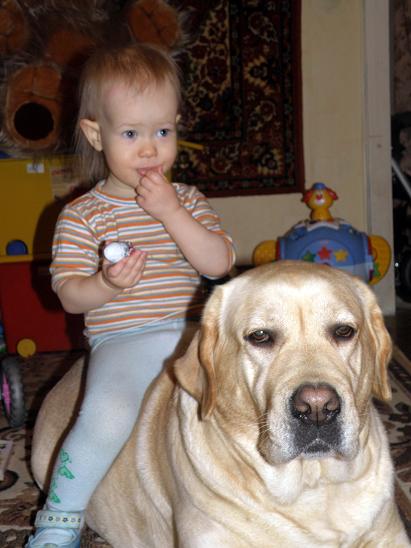 :  267.JPG
: 79
:  54,2 