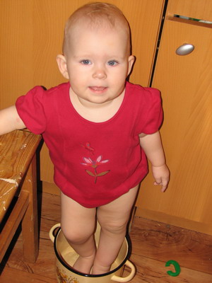 :  IMG_9223_resize.jpg
: 59
:  41,0 