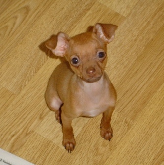 :   023.jpg
: 78
:  57,9 