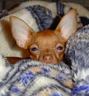 :   041.jpg
: 79
:  59,4 