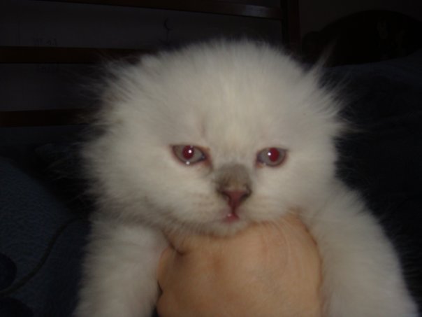 :  1.jpg
: 211
:  21,4 