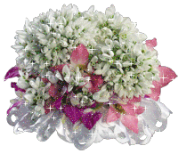 :  ce0f695718215f0a8b3952f0ea3338f5.gif
: 50
:  53,8 