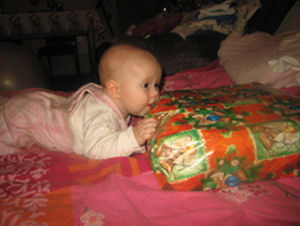 :  -9 (27).JPG
: 91
:  59,6 