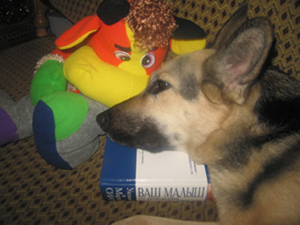 :  IMG_0007.JPG
: 92
:  61,2 