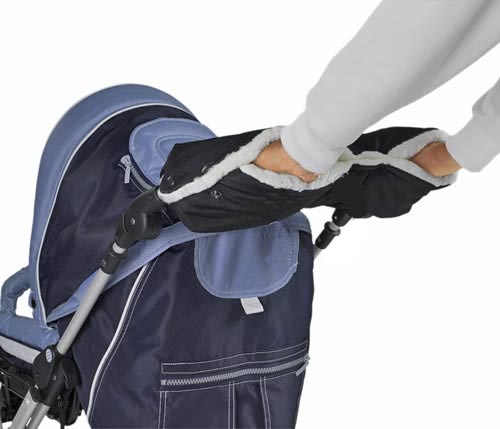 :  8l.jpg
: 75
:  43,2 