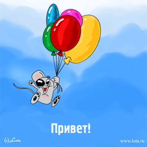 :  524.gif
: 25
:  63,0 