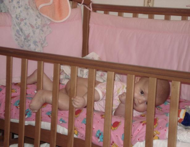 :  DSC01364.JPG
: 51
:  39,9 