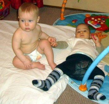 :  8.JPG
: 13
:  62,3 