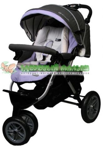 :  348_04.jpg
: 52
:  23,9 