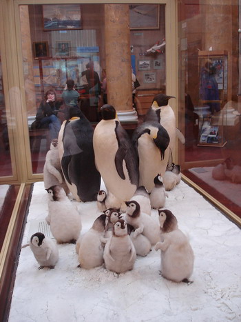 :  DSC00022.jpg
: 22
:  59,4 