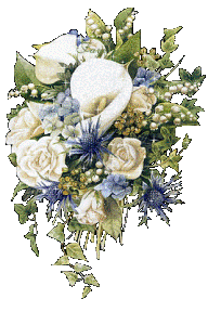 :  48cbb5469106.gif
: 56
:  28,4 