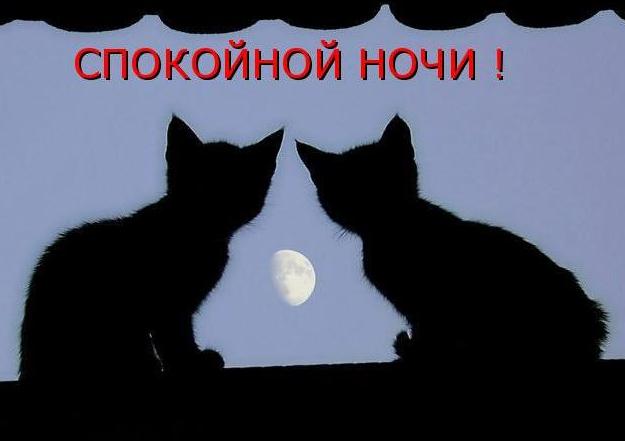 :  2S.jpg
: 229
:  20,4 