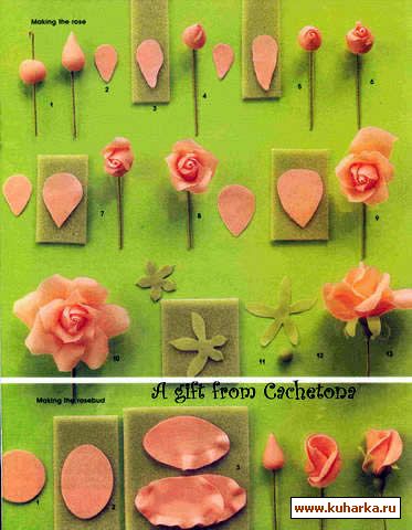 :  .jpg
: 365
:  35,5 