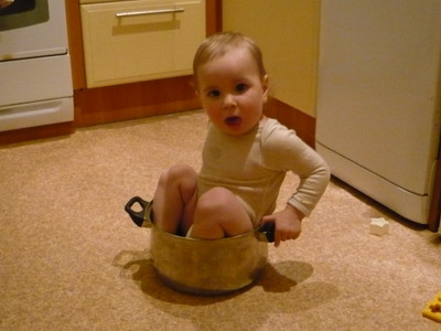 :  P1060164.jpg
: 37
:  46,1 