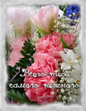 :  34f63142e9c37b723bb223790d615023.jpg
: 49
:  45,2 