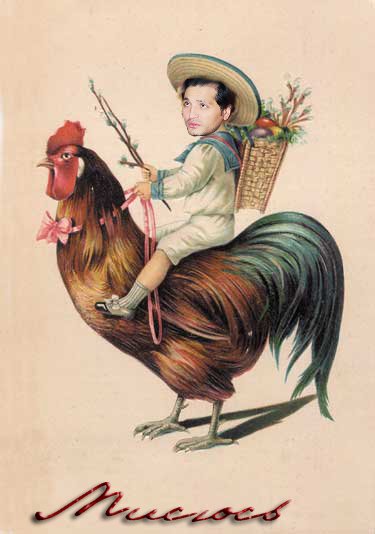 :  cb4fcc3a8698.jpg
: 355
:  33,0 