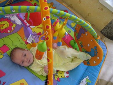 :  IMG_1334_resize_resize.JPG
: 97
:  61,7 