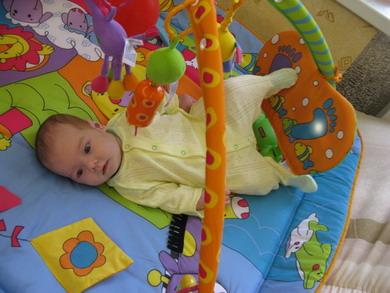:  IMG_1336_resize_resize.JPG
: 97
:  59,7 