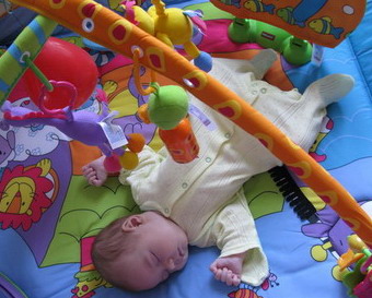 :  IMG_1339_resize_resize.jpg
: 96
:  56,0 