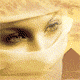 :  017b.gif
: 101
:  7,5 