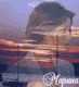 :  abc8675e44dacbddd2d46ca6ac2.gif
: 58
:  2,4 