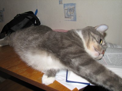 :  IMG_9416resize.jpg
: 64
:  36,5 