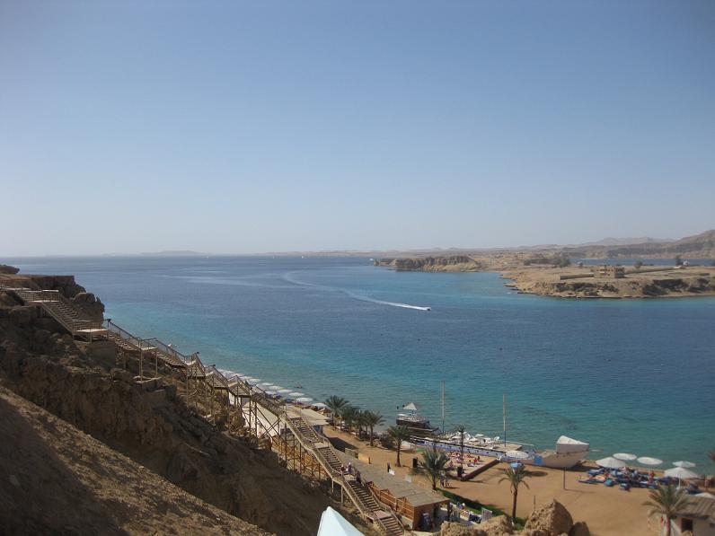 :   009a.JPG
: 61
:  54,9 