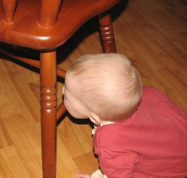 :     028.jpg
: 72
:  50,8 