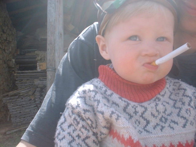 :  DSCF01548.JPG
: 56
:  51,6 